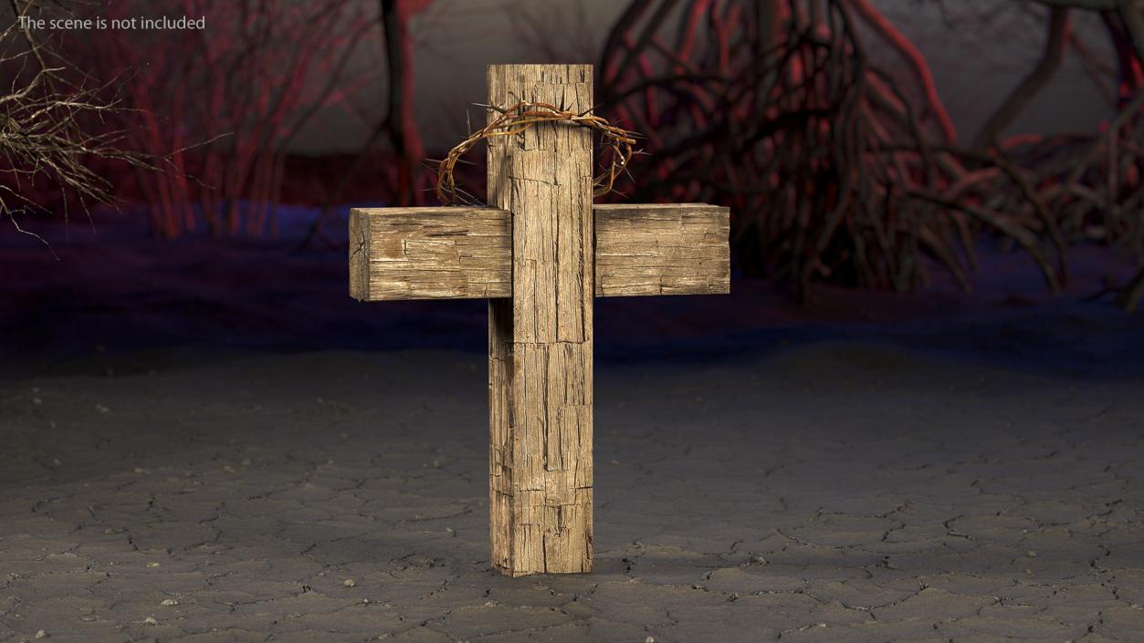 3D Cross with Crown of Thorns