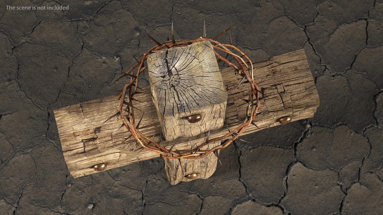 3D Cross with Crown of Thorns