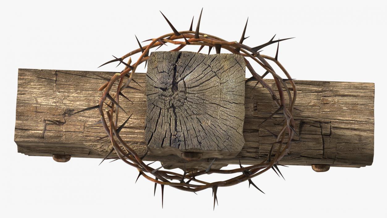 3D Cross with Crown of Thorns