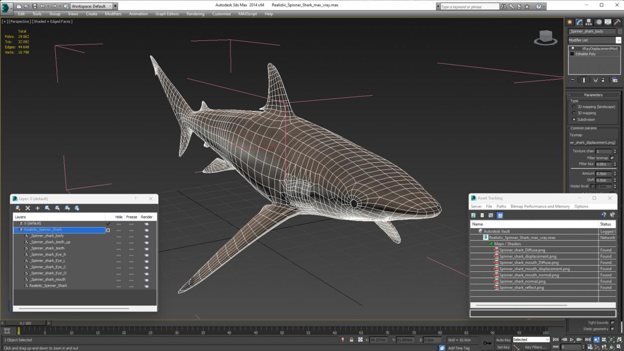 3D Realistic Spinner Shark model