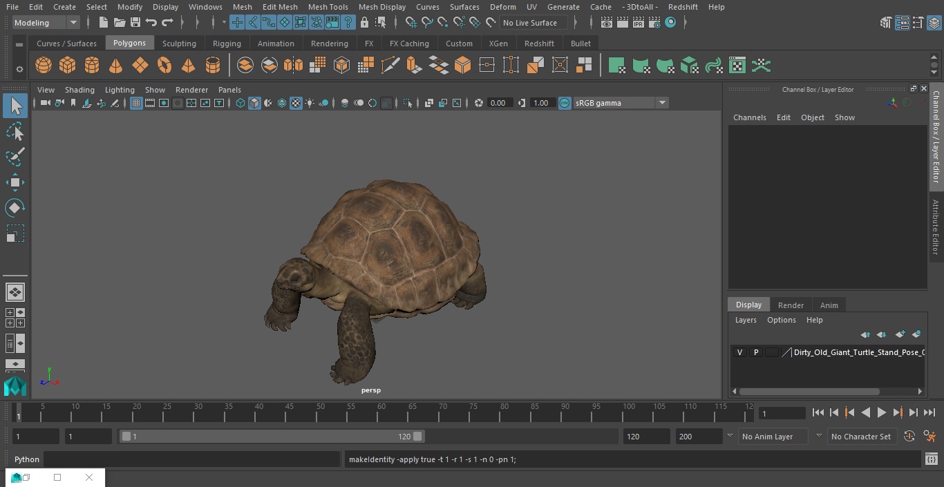 3D Dirty Old Giant Turtle Stand Pose(1)