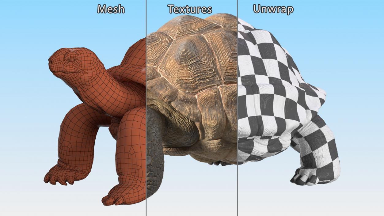 3D Dirty Old Giant Turtle Stand Pose(1)