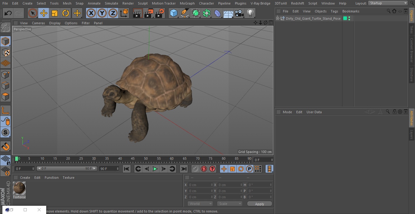 3D Dirty Old Giant Turtle Stand Pose(1)