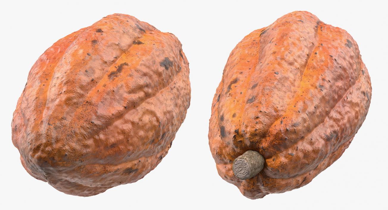 3D Cocoa Bean and Fruit 3D Models Collection