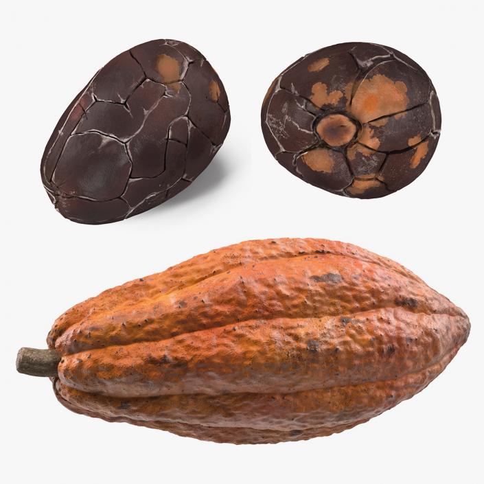 3D Cocoa Bean and Fruit 3D Models Collection