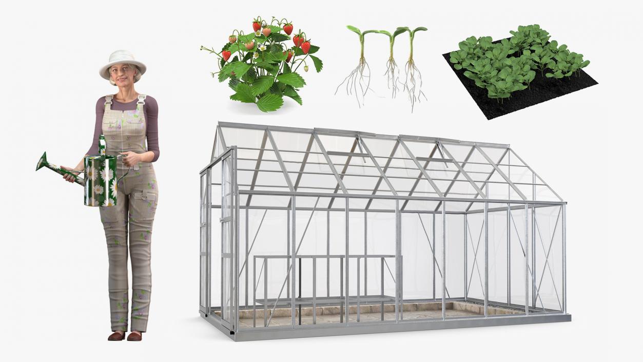 3D Rigged Gardening Lady with Greenhouse Collection model