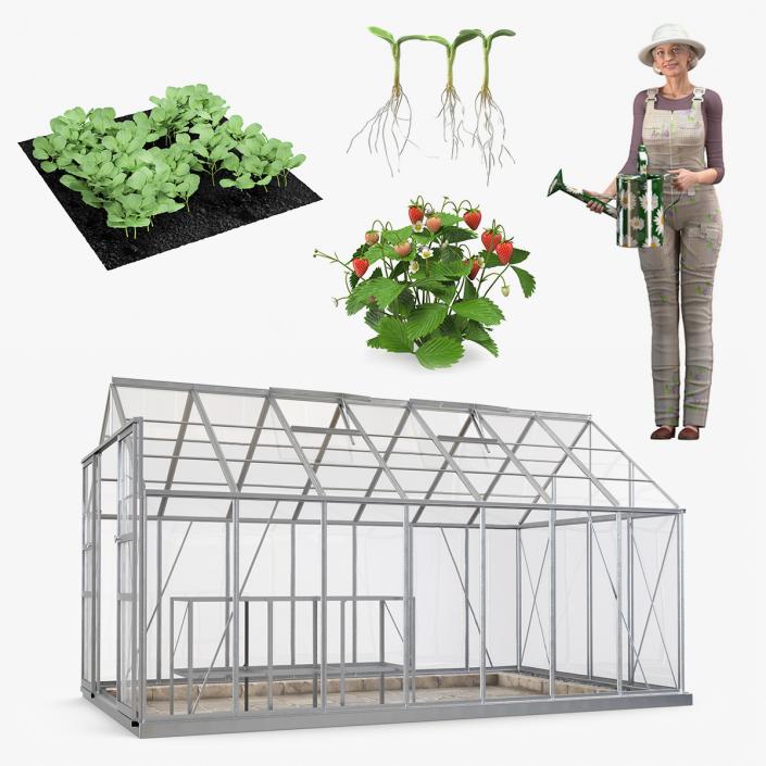 3D Rigged Gardening Lady with Greenhouse Collection model