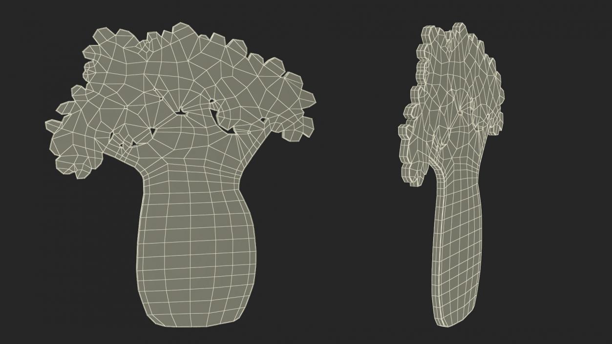 3D model Plant Silhouettes Collection 4