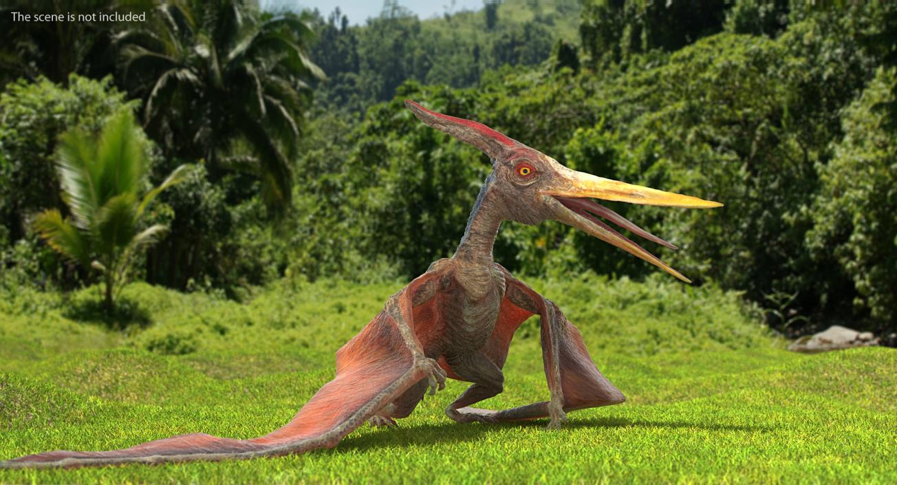 Pteranodon Rigged 3D