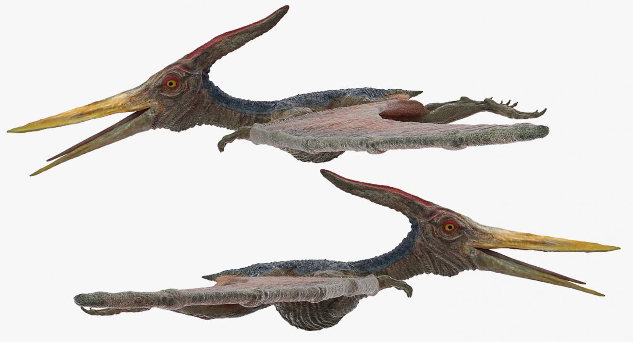 Pteranodon Rigged 3D