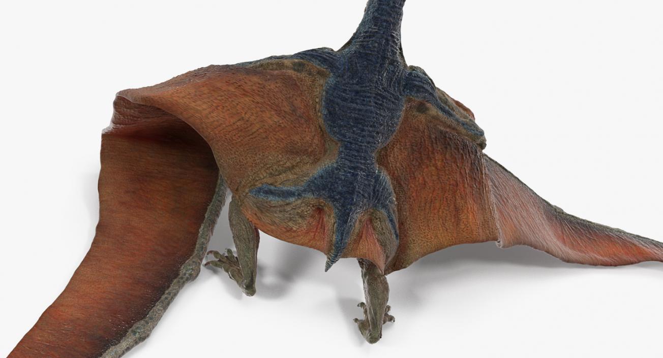 Pteranodon Rigged 3D