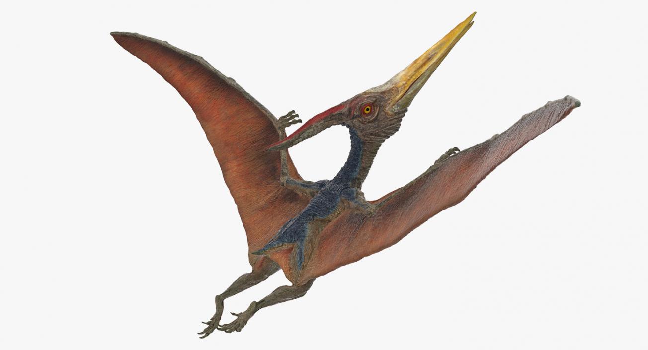 Pteranodon Rigged 3D