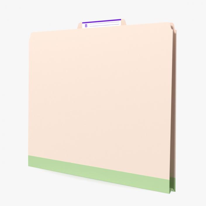 Blank Card Folder File 3D