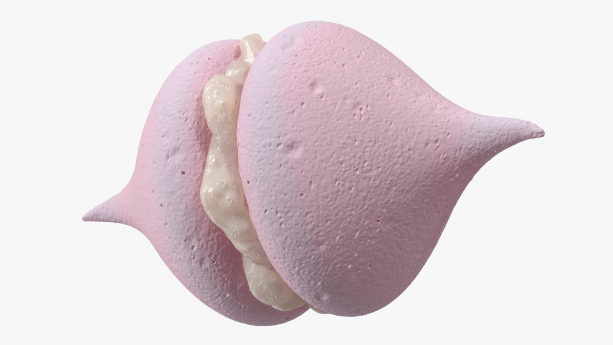 3D Smooth Meringue Pink with Vanilla Filling