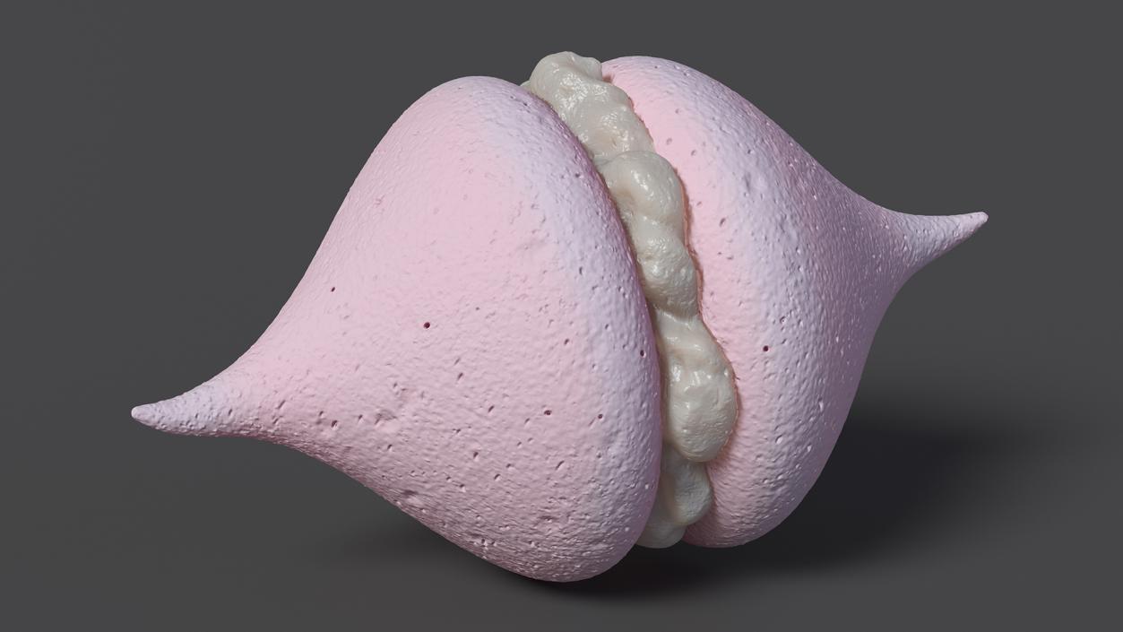 3D Smooth Meringue Pink with Vanilla Filling