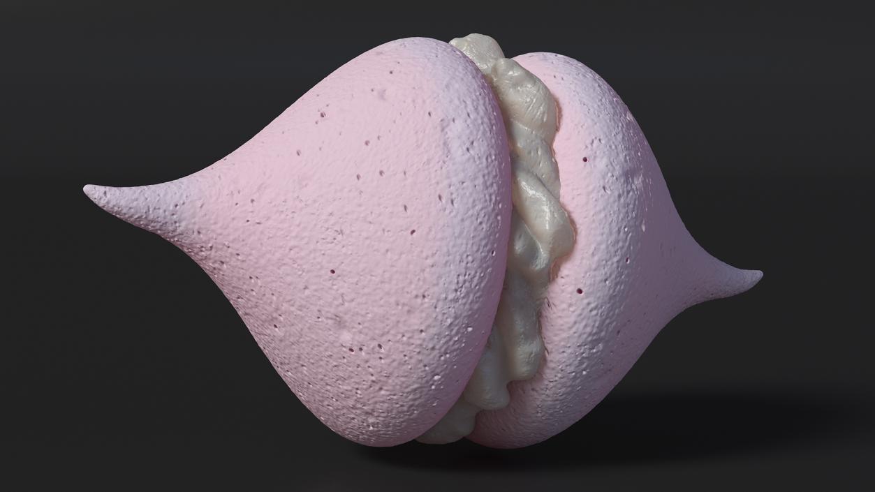 3D Smooth Meringue Pink with Vanilla Filling