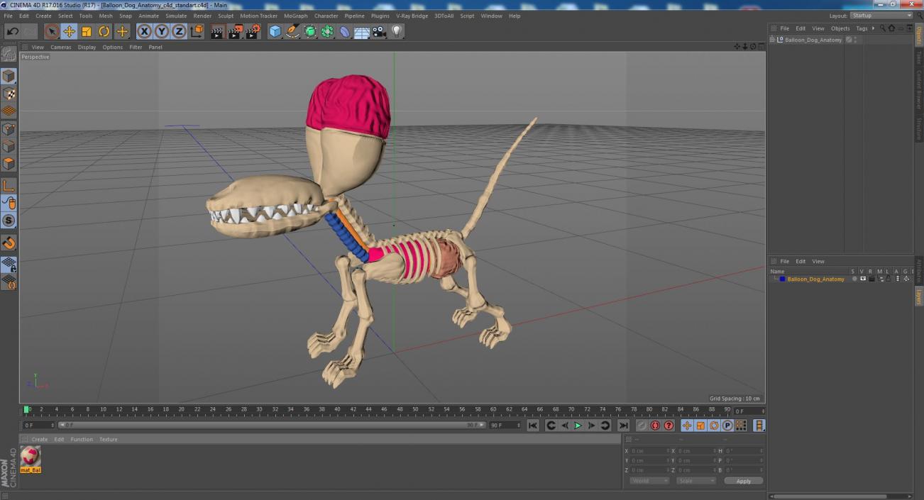 Balloon Dog Anatomy 3D model