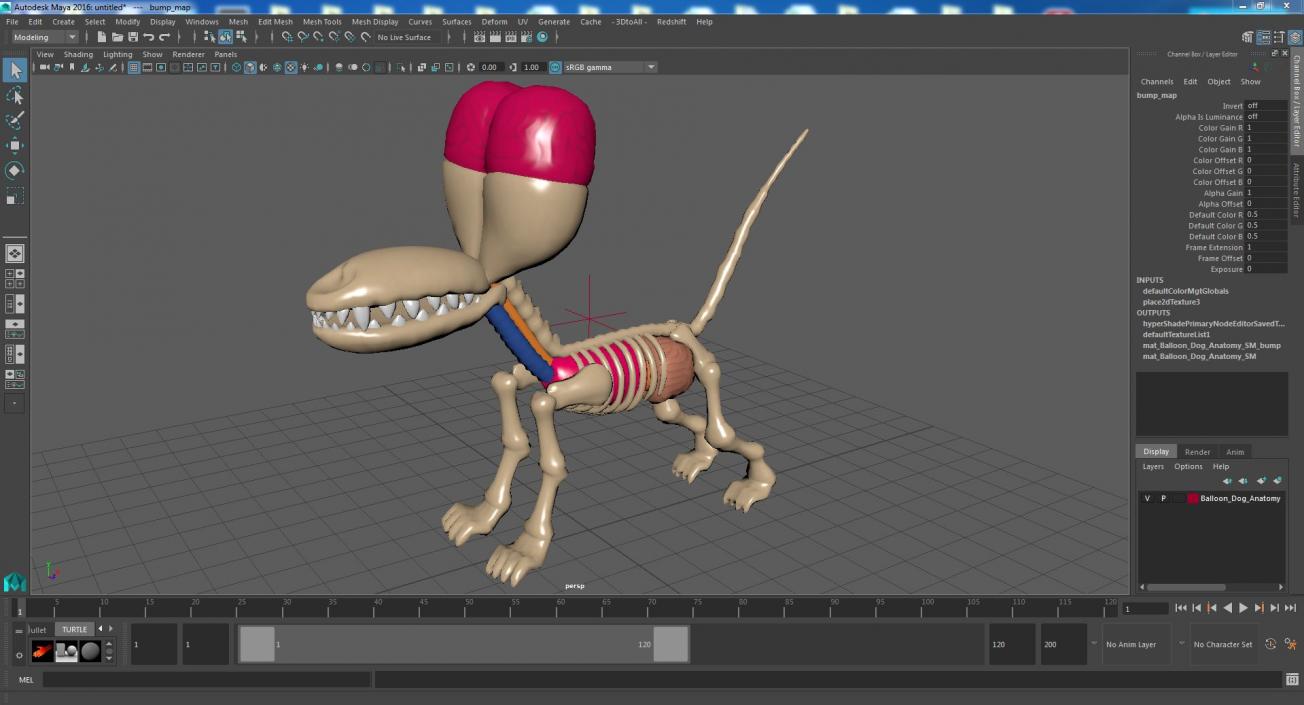 Balloon Dog Anatomy 3D model