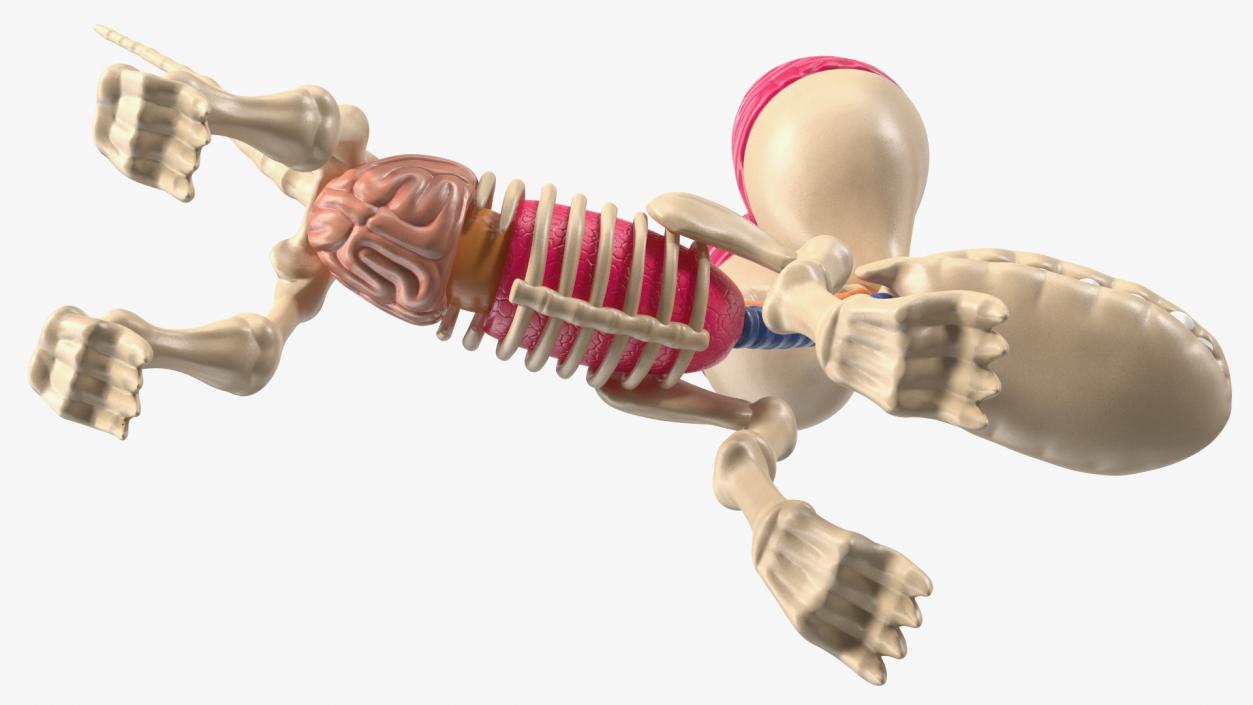 Balloon Dog Anatomy 3D model