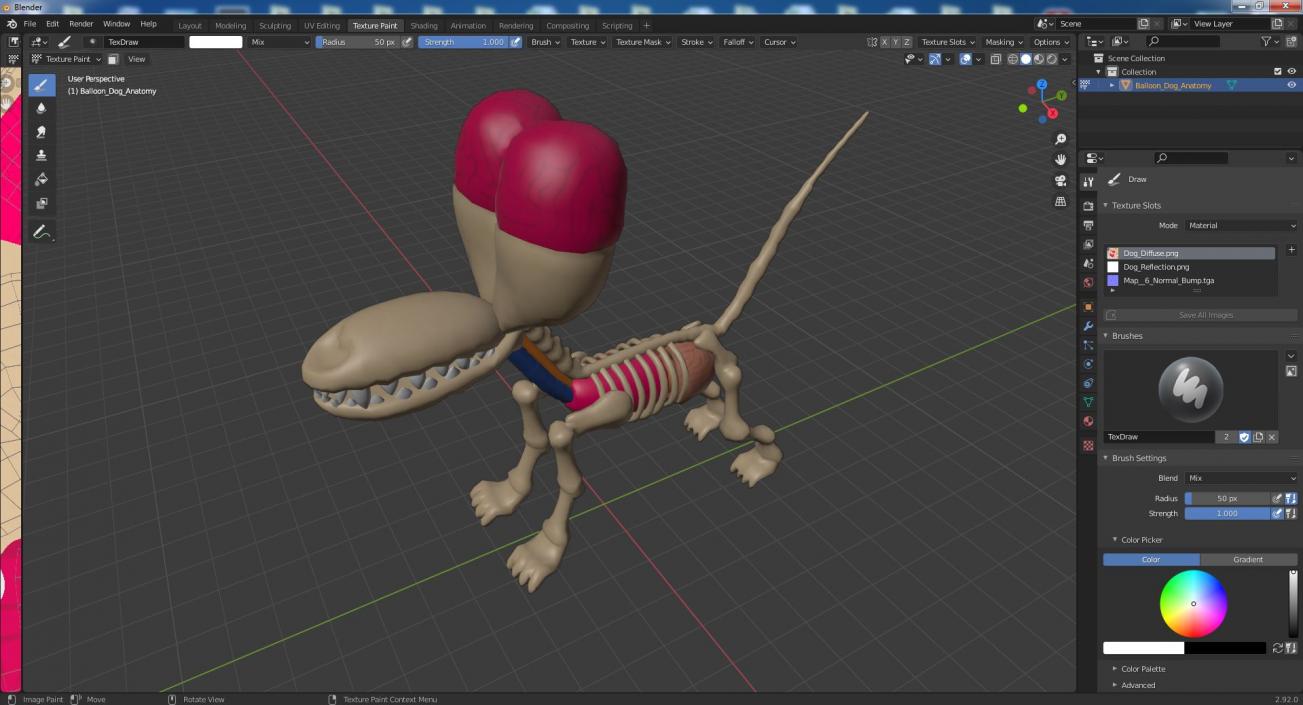 Balloon Dog Anatomy 3D model