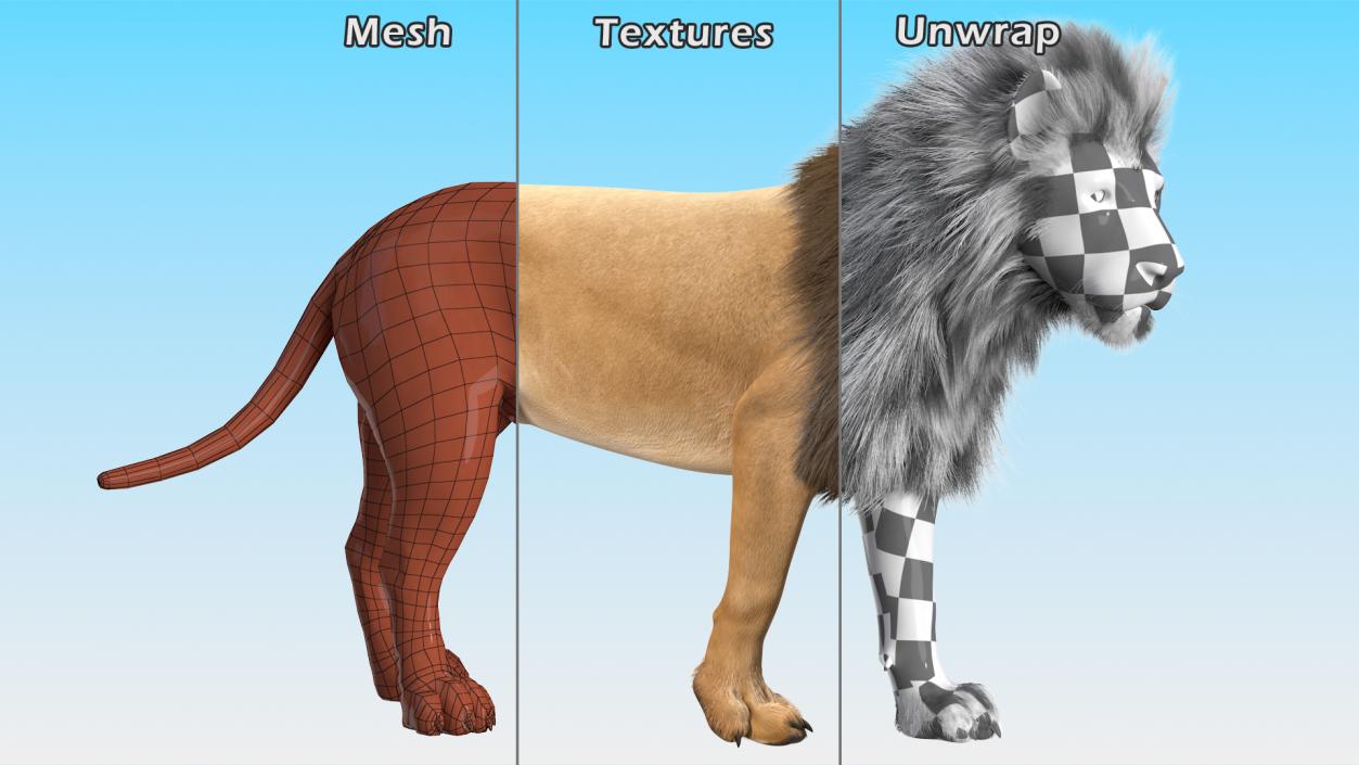 3D Lion Walking Pose Fur