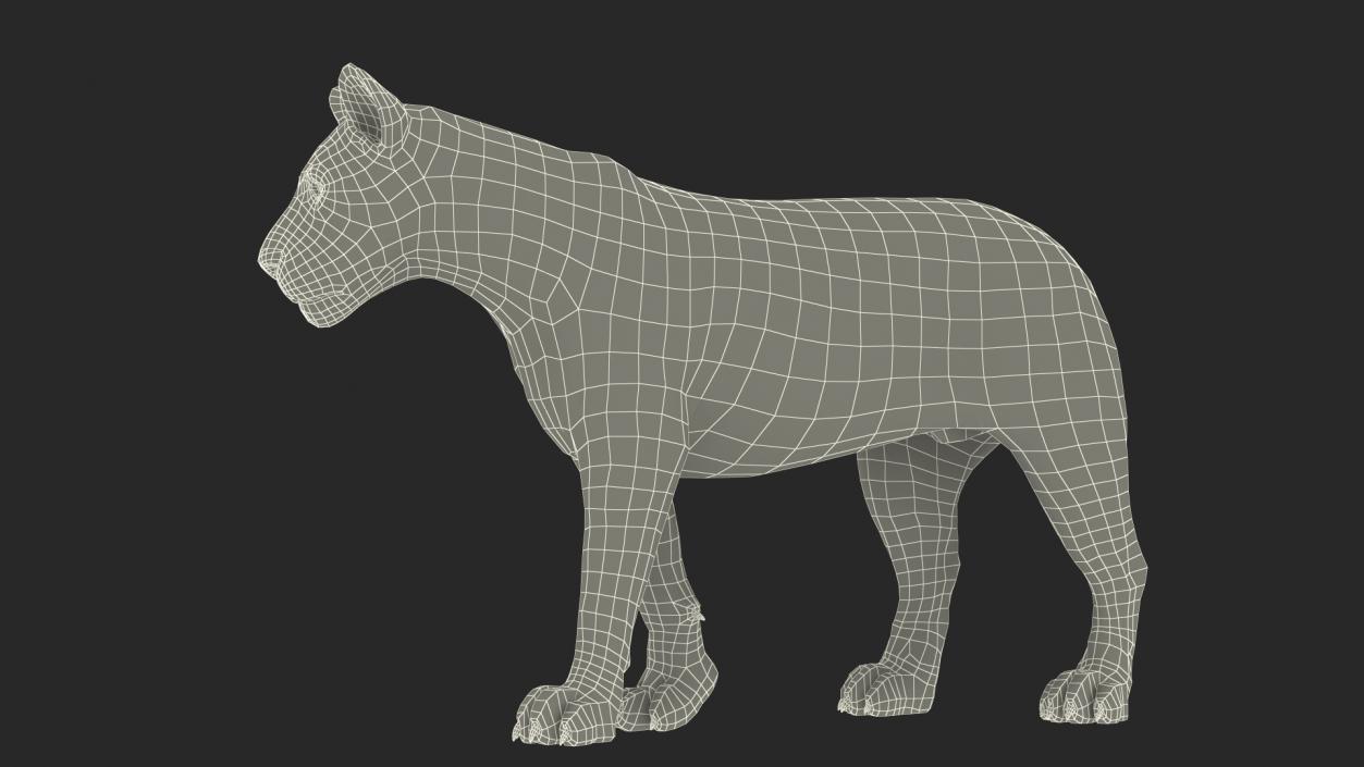 3D Lion Walking Pose Fur