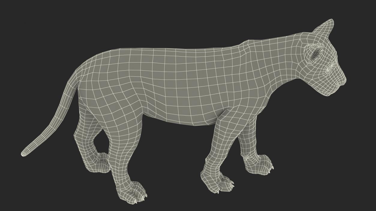 3D Lion Walking Pose Fur