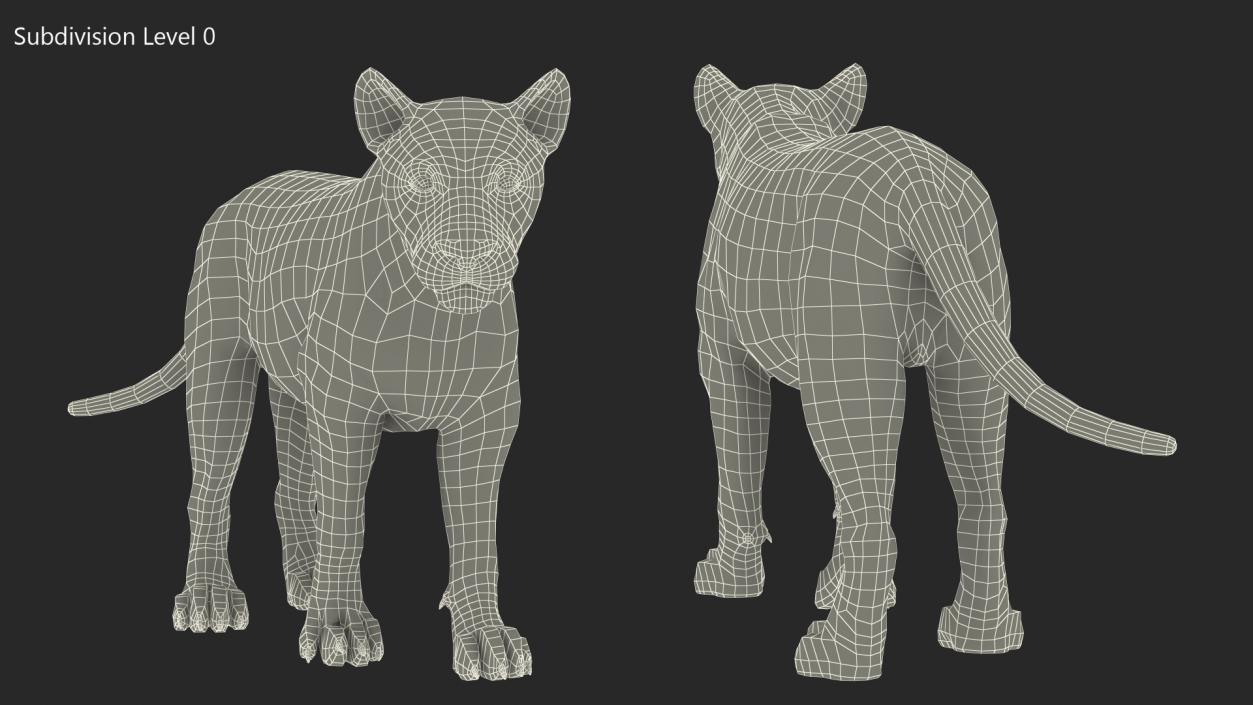 3D Lion Walking Pose Fur