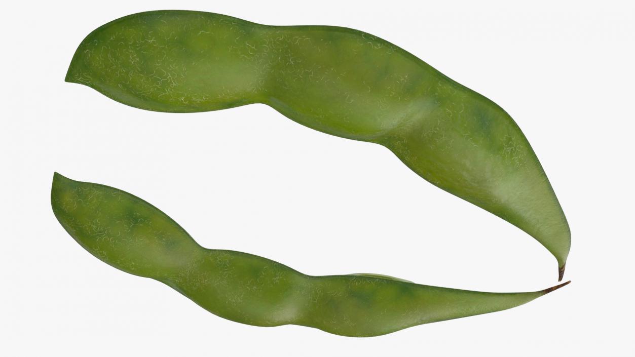 3D model Green Soybean Pod Open(1)