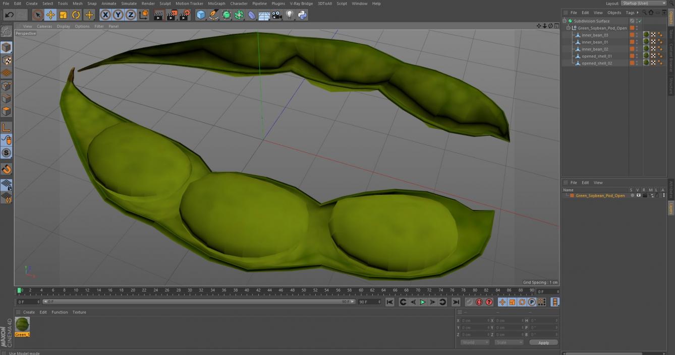 3D model Green Soybean Pod Open(1)