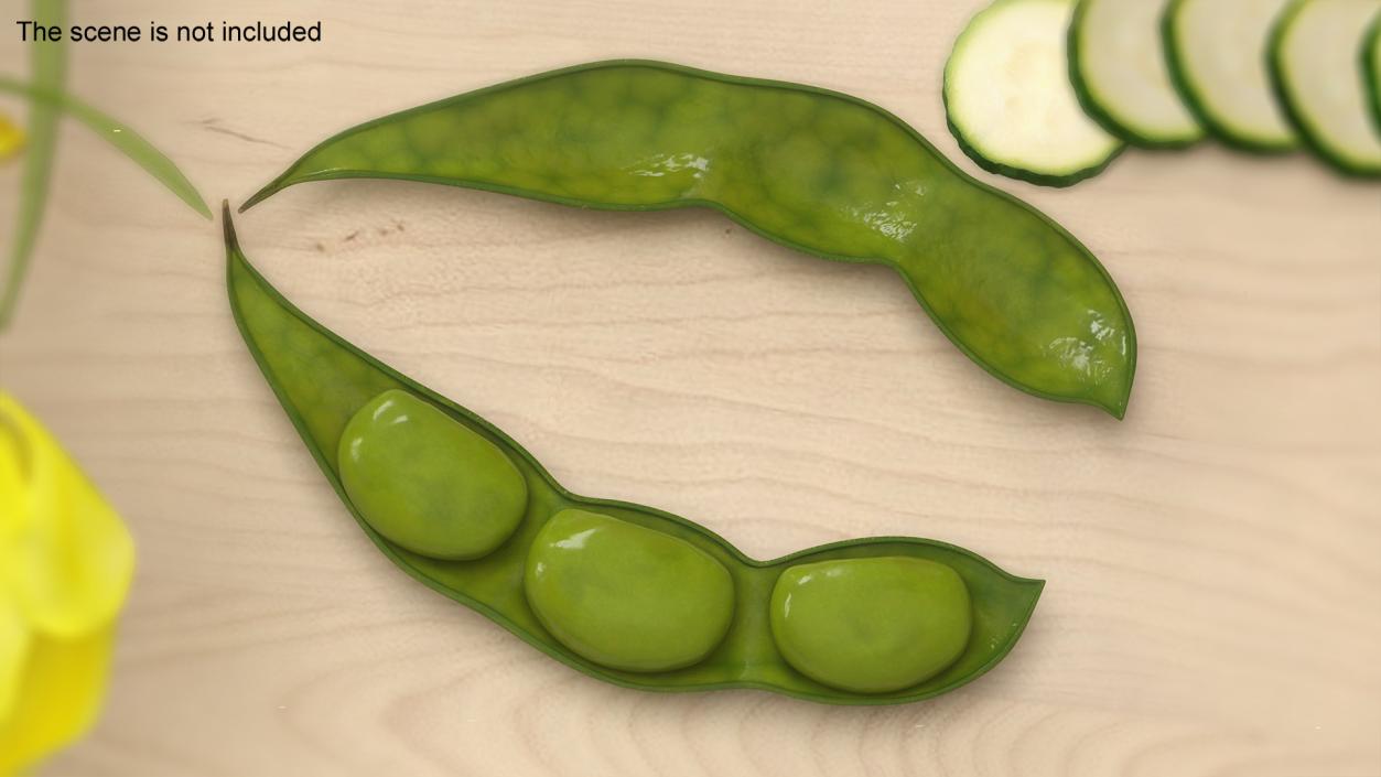 3D model Green Soybean Pod Open(1)