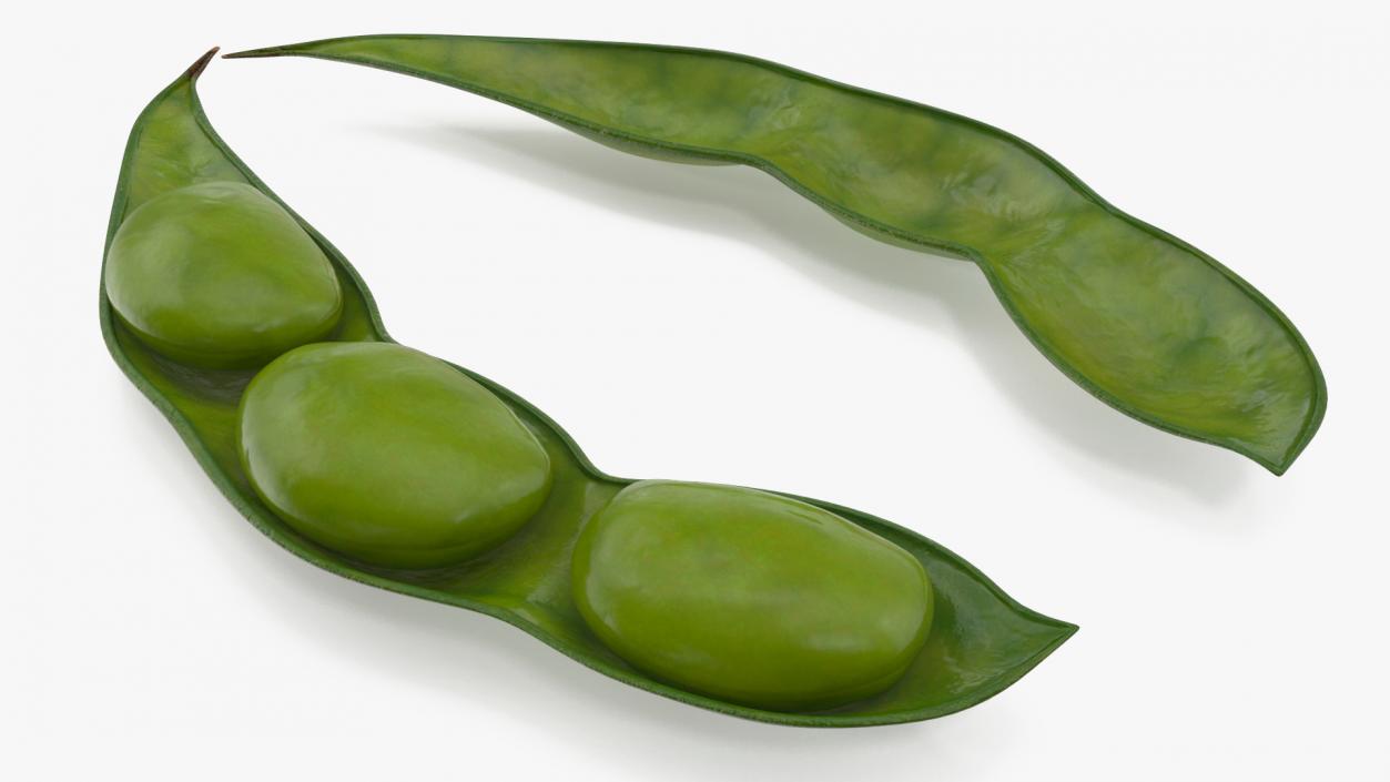 3D model Green Soybean Pod Open(1)