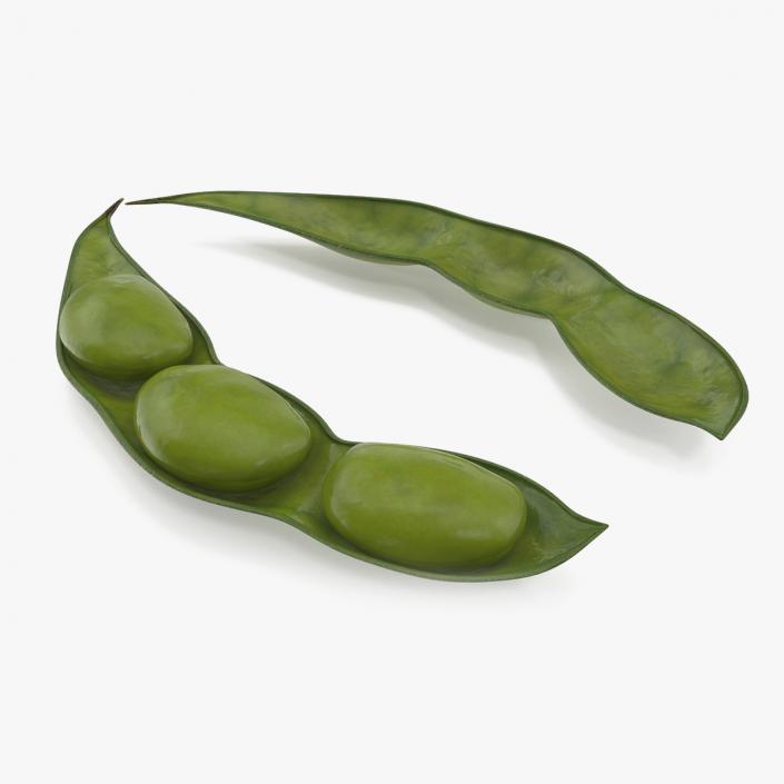 3D model Green Soybean Pod Open(1)