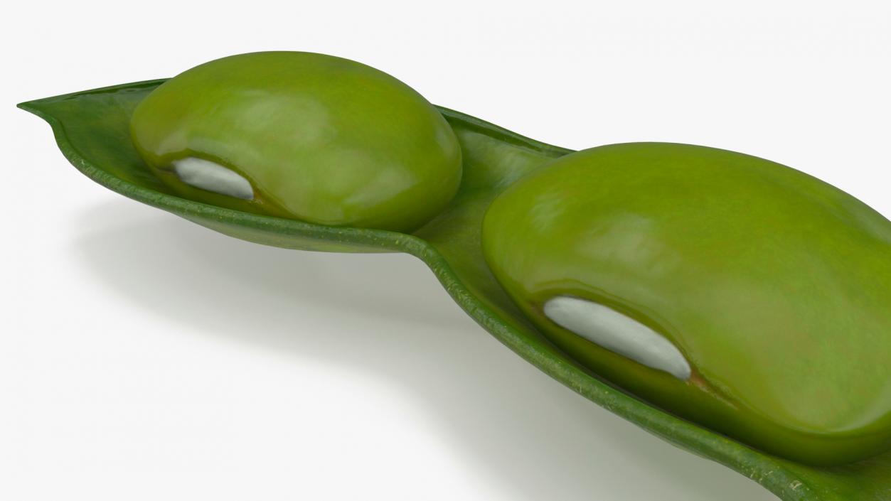 3D model Green Soybean Pod Open(1)