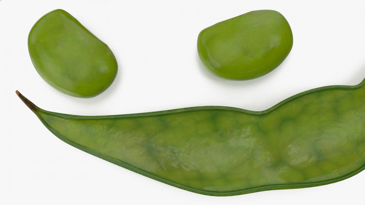 3D model Green Soybean Pod Open(1)