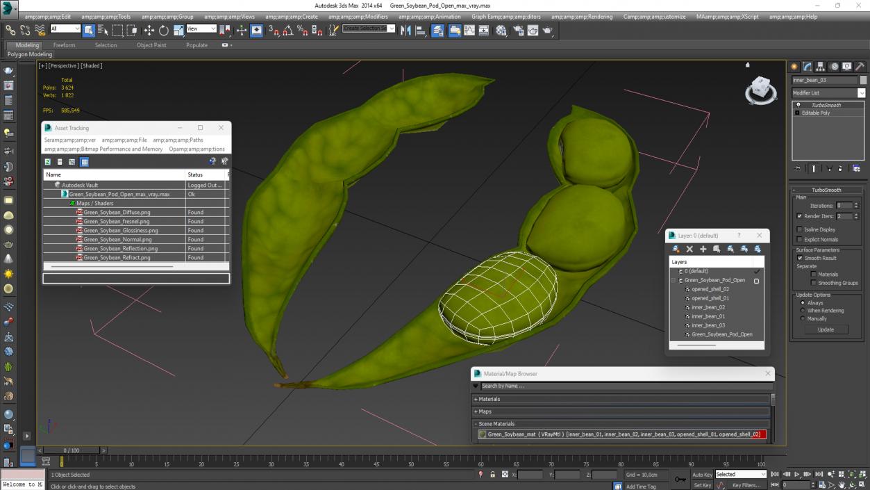 3D model Green Soybean Pod Open(1)