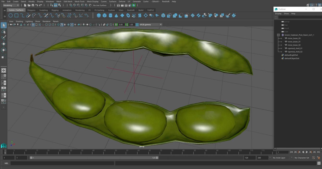 3D model Green Soybean Pod Open(1)