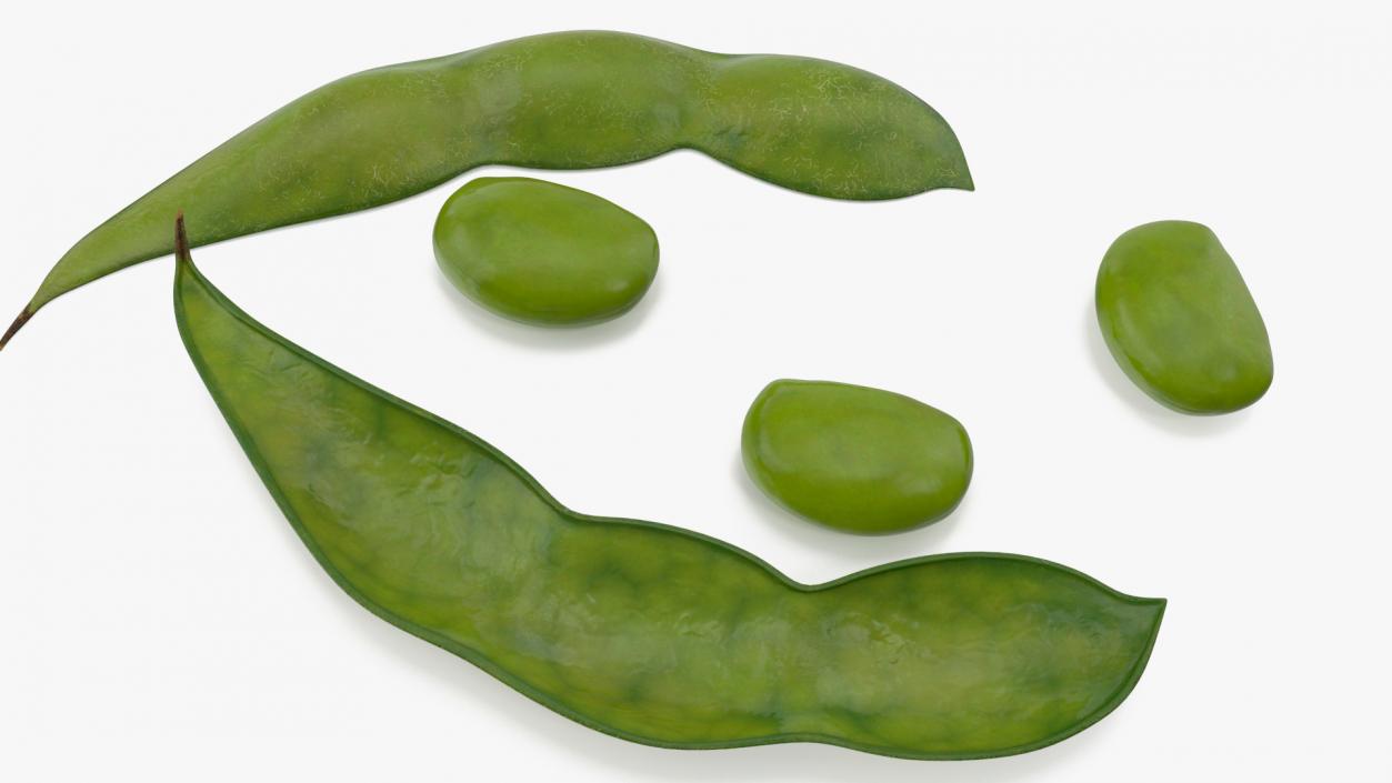 3D model Green Soybean Pod Open(1)