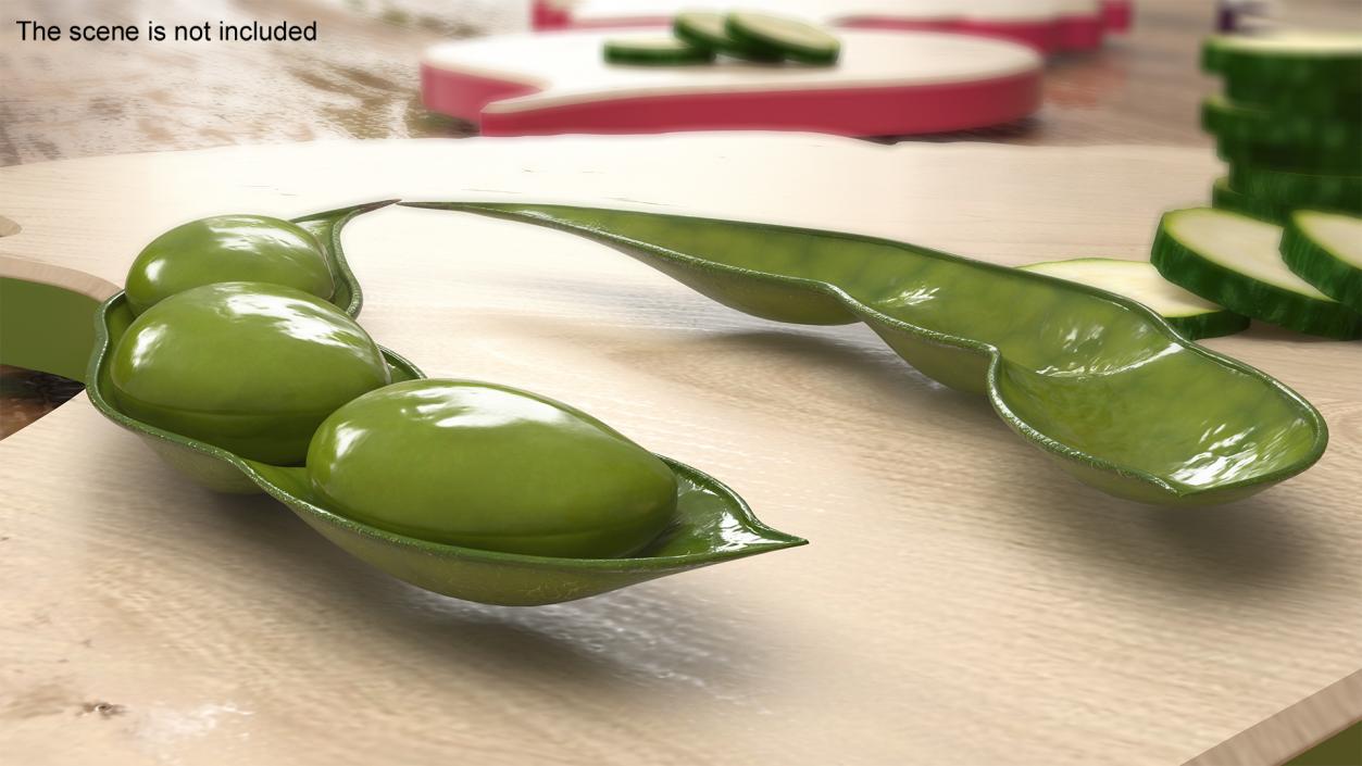 3D model Green Soybean Pod Open(1)