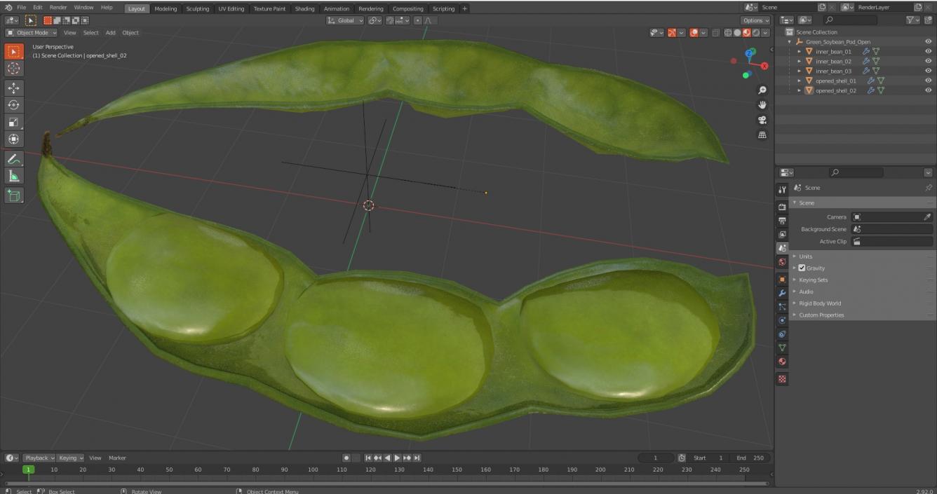 3D model Green Soybean Pod Open(1)