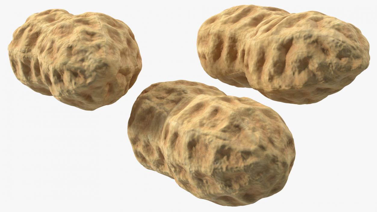 3D Whole Peanuts model