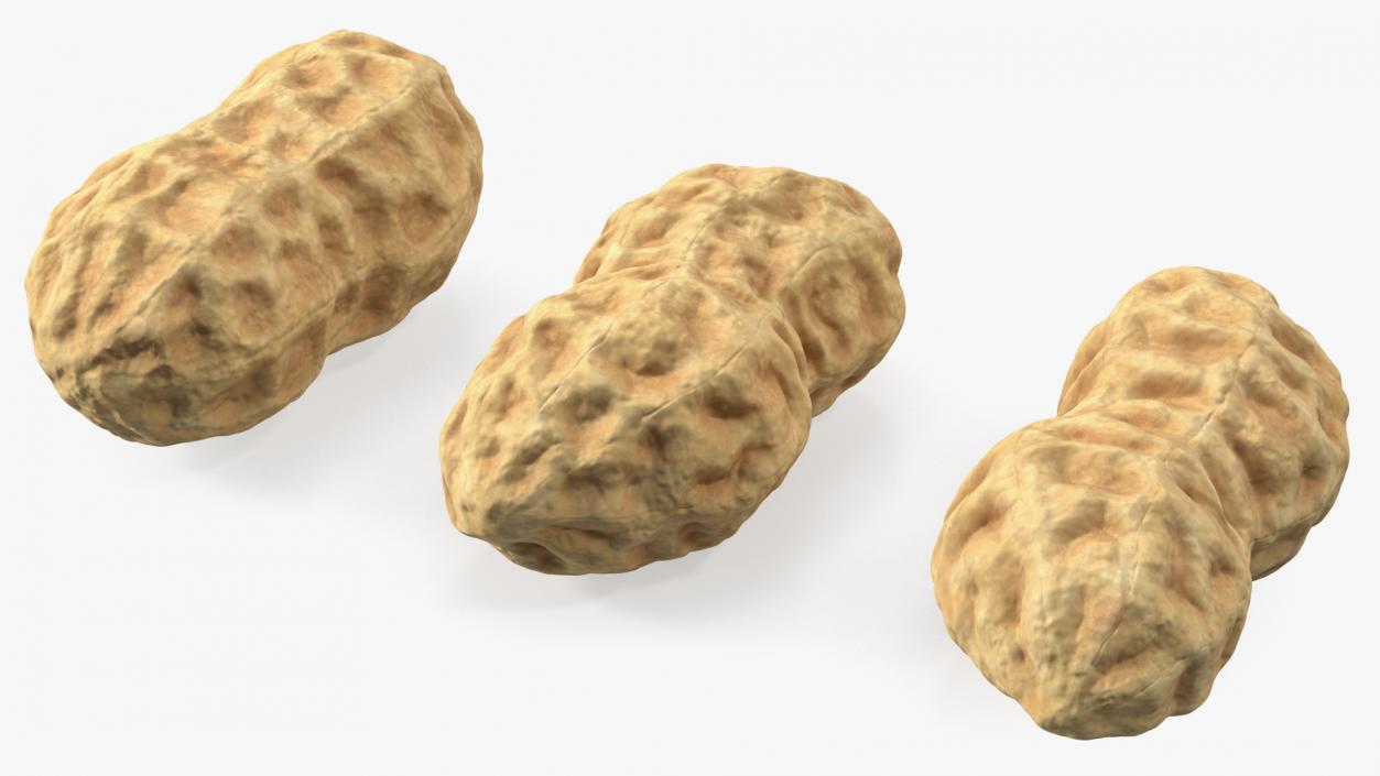 3D Whole Peanuts model