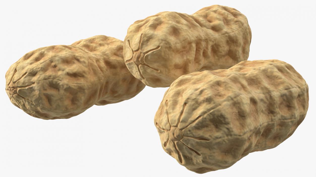 3D Whole Peanuts model