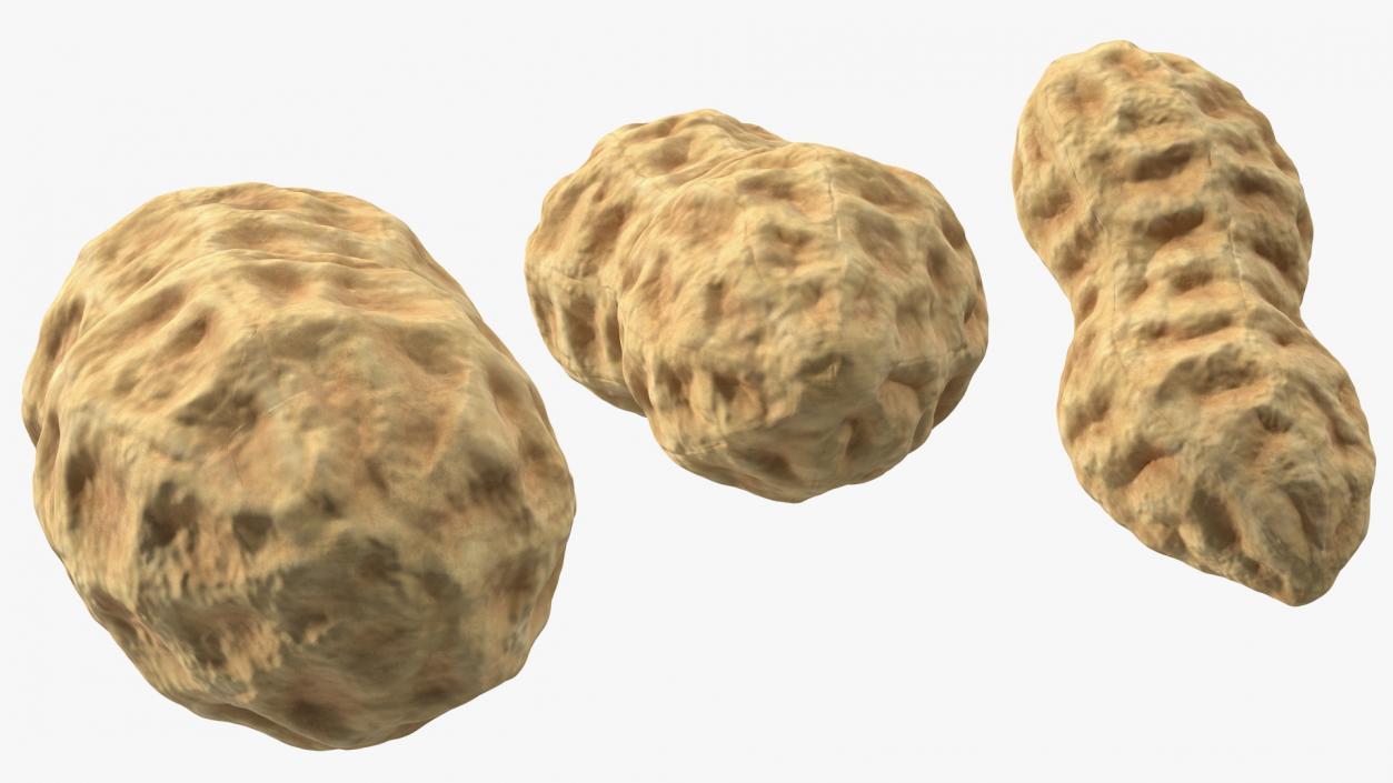 3D Whole Peanuts model