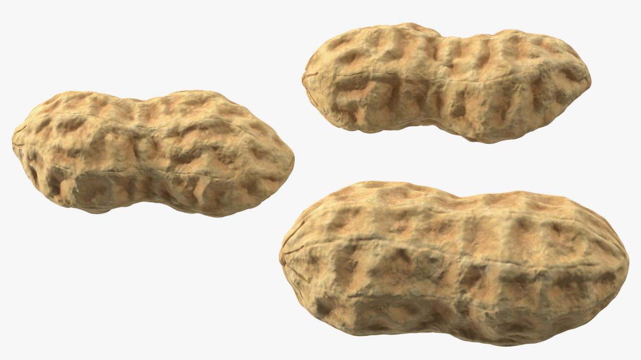 3D Whole Peanuts model