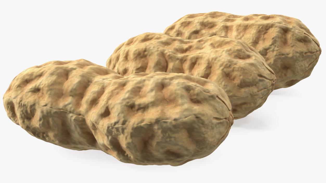 3D Whole Peanuts model