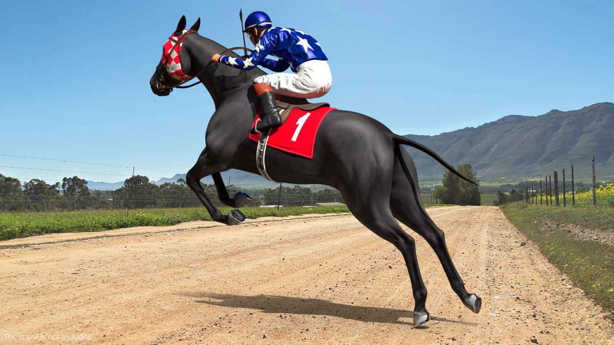 Black Racing Horse with Jokey Jumping 3D