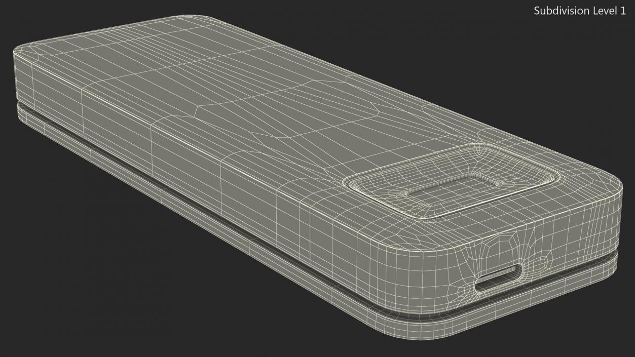 3D Verbatim Executive Fingerprint Secure SSD