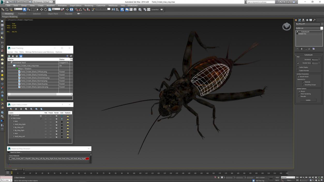 3D model Field Cricket 2