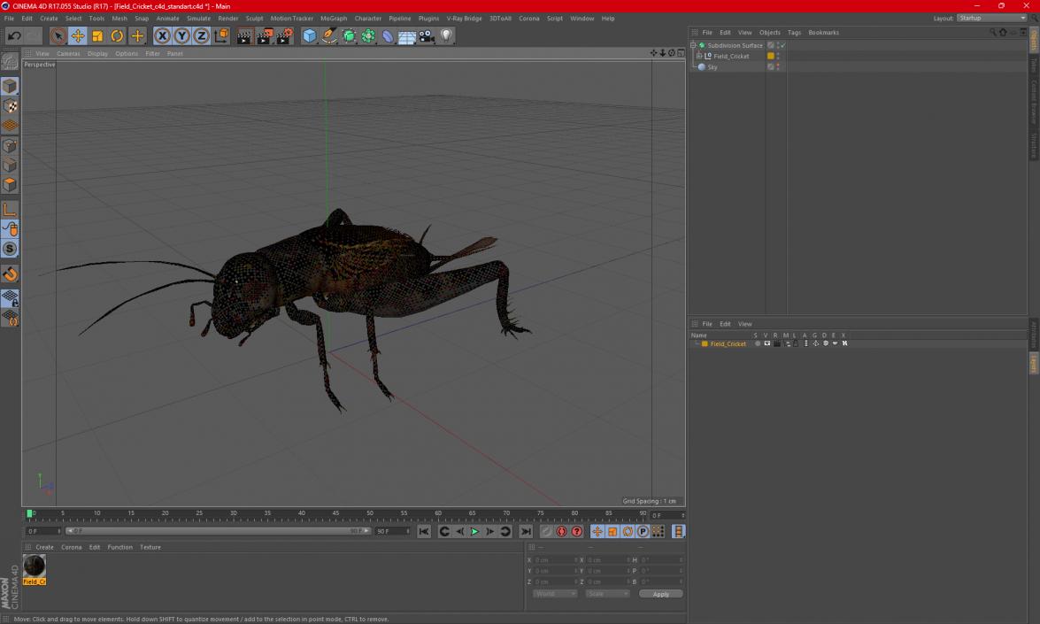 3D model Field Cricket 2